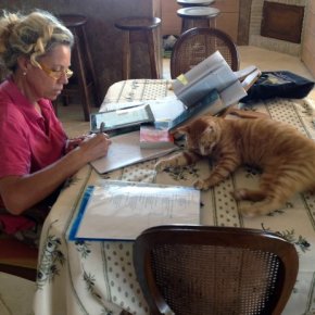 Pubblicato sul sito della deputata Cirinnà (Pd) il contratto siglato tra Raggi e Casaleggio Associati prima delle elezioni. Allegato qui in&nbsp;.pdf