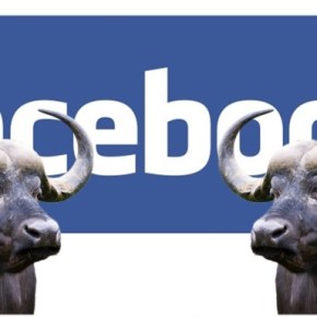 Le fake news hanno un pubblico 10 volte più piccolo rispetto alle “notizie vere”. Il 30% delle bufale è su Facebook. Per rendere i media credibili è arrivata l’ora di staccare la spina dai&nbsp;social