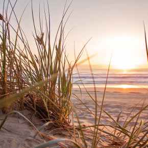 L’estate è sospesa, ma il Circo Barnum dei Virologi torna a metterci paura. Perché i giornali assecondano questo gioco malefico? A chi&nbsp;giova?